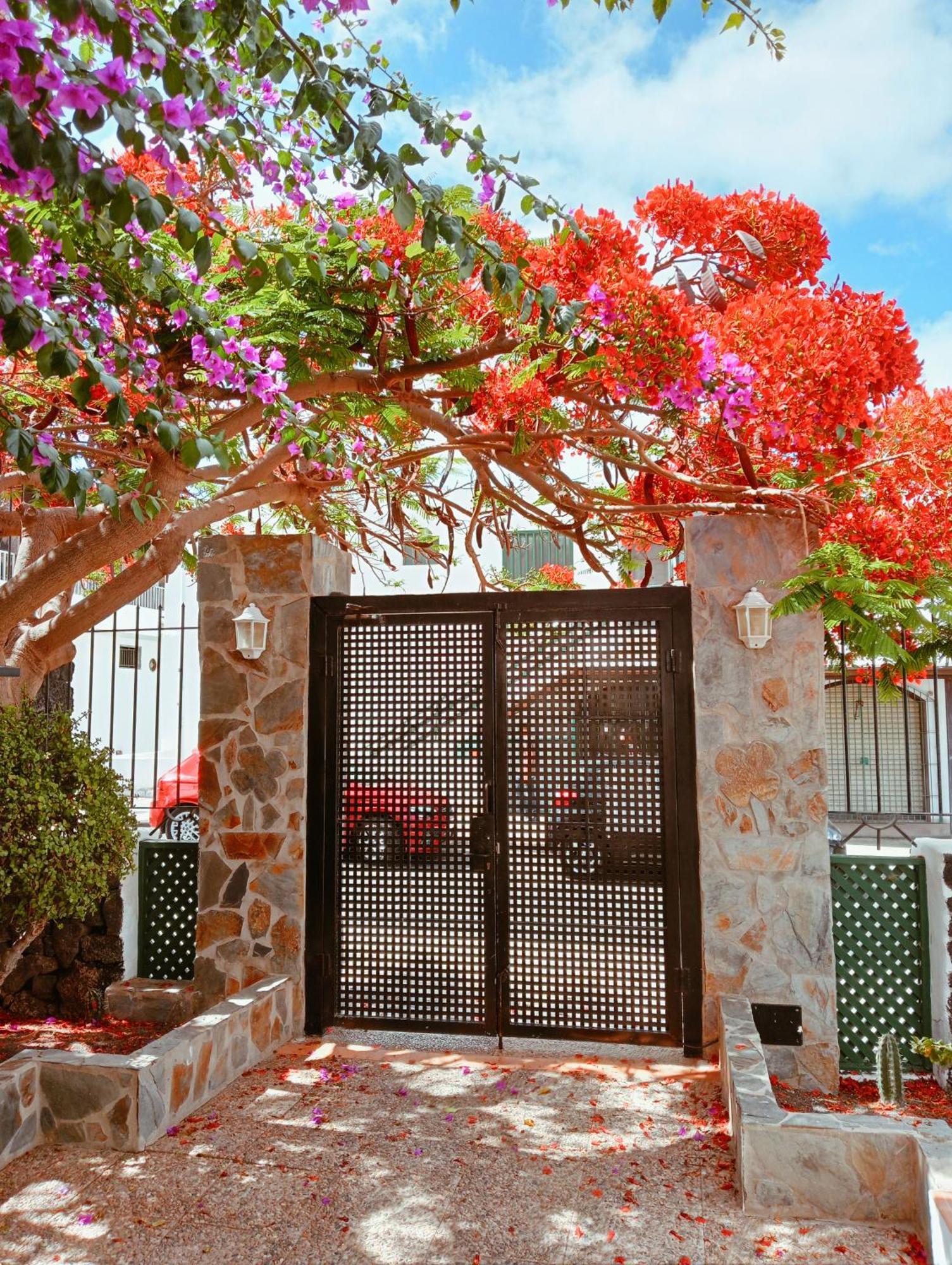 Apartamentos Las Acacias プエルト・デル・カルメン エクステリア 写真